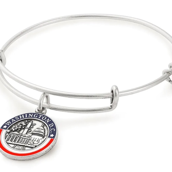 Alex and Ani Washington D.C. III Charm Bangle - Picture 1 of 2